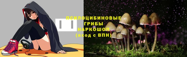 соль ск Козельск