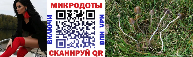 Купить где  Льгов  Псилоцибиновые грибы Magic Shrooms 